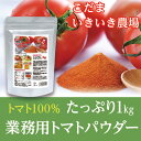 【業務用】こだま食品 無添加完熟トマトパウダー1kg