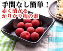 こだま食品 赤く漬かるカリカリ梅の素 梅1キロ用