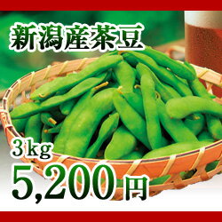 新潟産　茶豆　3kg箱　（生産者・安野）