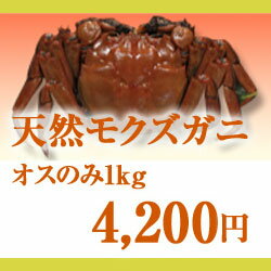 【予約】天然活きモクズガニ　オスのみ1kg（5匹〜10匹）【平成24年10月出荷開始】新潟の清流で捕れた日本の上海蟹”モクズガニ”
