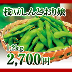 【予約】新潟県産枝豆　しんどおり娘　1.2kg（300g袋×4）　【平成24年9月下旬から出荷開始予定】