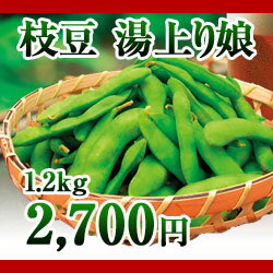 【販売中】新潟県産枝豆　湯上り娘　1.2kg（300g袋×4）【平成24年7月上旬から出荷開始予定】