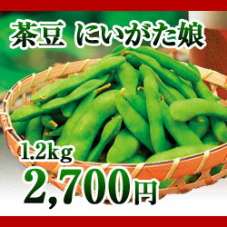 新潟県産茶豆　新潟娘　1.2kg （生産者・玉木）