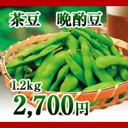 【予約】新潟県産茶豆　晩酌豆　1.2kg（300g袋×4）【平成24年8月下旬から出荷開始予定】