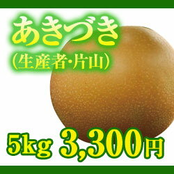 【予約】あきづき梨5kg箱　（生産者・片山）【平成24年10月上旬出荷開始予定】