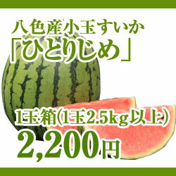 八色産小玉スイカ「ひとりじめ」1玉箱【平成24年7月中旬出荷開始予定】