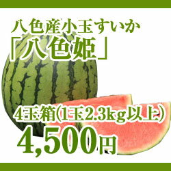 八色産小玉スイカ「八色姫」4玉箱　【平成24年7月中旬出荷開始予定】