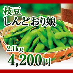 【予約】新潟産枝豆　しんどおり娘2.1kg箱　（生産者・玉木）
