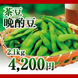新潟産茶豆　晩酌豆2.1kg箱　（生産者・玉木）