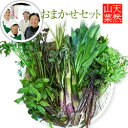 【2020年予約】天然山菜おまかせセット 1kg(採取者・笑顔の里)送料無料天然山菜セット