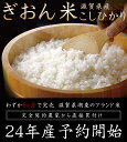 【予約受付開始】平成24年産【新米】ぎおん米コシヒカリ精米450g（3合 三合）お試しパック【送料無料】こしひかり 祇園米 ギオン米9月中旬より発送予定！メール便でのお届け！(※代金引換、日時指定非対応）