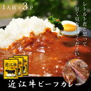 レトルトカレー 高級 ギフト 近江牛 レ...