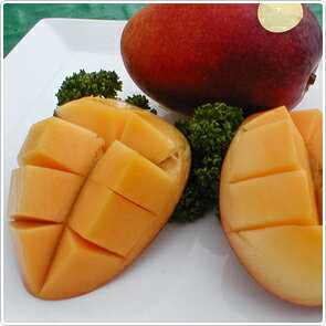 ڤۤơͤϤμ򤹤롣פȤǰ¿οͤη򹯤򸫼äƤؤ󤺤٥֥ɡߤߤƴšޥ󥴡ʤ򹬤ˤޤڥޥ󥴡۹Ρؤ󤺤٥֥ɡܸμηäߤäѤڤ˰Ƥ줿ؤ󤺤