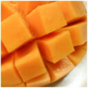 【 沖縄産　マンゴー 】マンゴーマニアなら知っている！よは完熟キーツマンゴー（2kg）深みのある味わいが人気ですよ♪ 　【高級　送料無料　お中元　ギフト　】