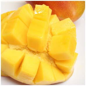 ٥ƥΤϤǯǫ˰ƤƤޥ󥴡ϲǤ͵ԡȤʤޥ󥴡Ǥڥޥ󥴡ۤȤ褦ʿϥޥ󥴡ǻʥޥ󥴡Ǥ2kgȢ