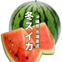 【全国どこでも送料無料】市場直送 沖縄県産冬スイカ1個入(2,5~3kg)【すいか スイカ 冬スイカ 西瓜 沖縄県産 冬 日本一早い出荷 サプライズ プレゼント 時期外れ 珍しい フルーツ 果物】