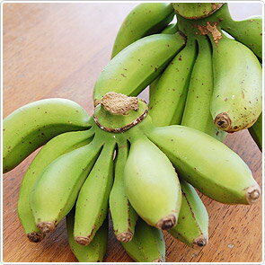 【沖縄　島バナナ】野菜ブランド　『やんばるあがり』島バナナ1kg