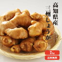 【送料無料】高知産 三州生姜 2Kg 『 生姜 国産 』【しょうが/紅茶 ショウガ/生姜