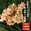 【送料無料】高知県産 ハウス栽培黄金新生姜 2Kg 【冷蔵便】8月発送 産地直送 自社栽培 季節限定