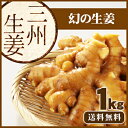 【送料無料】高知産 三州生姜 1Kg 『 生姜 国産 』【しょうが/紅茶 ショウガ/生姜 保存/生姜 栽培/生姜茶/生姜 効能/根生姜/種生姜】【マラソン201402_送料無料】