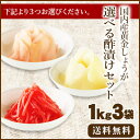 セール【送料無料】国産生姜使用 選べる酢漬けセット1Kg×3 『甘酢しょうが/がり/紅しょうが千切』