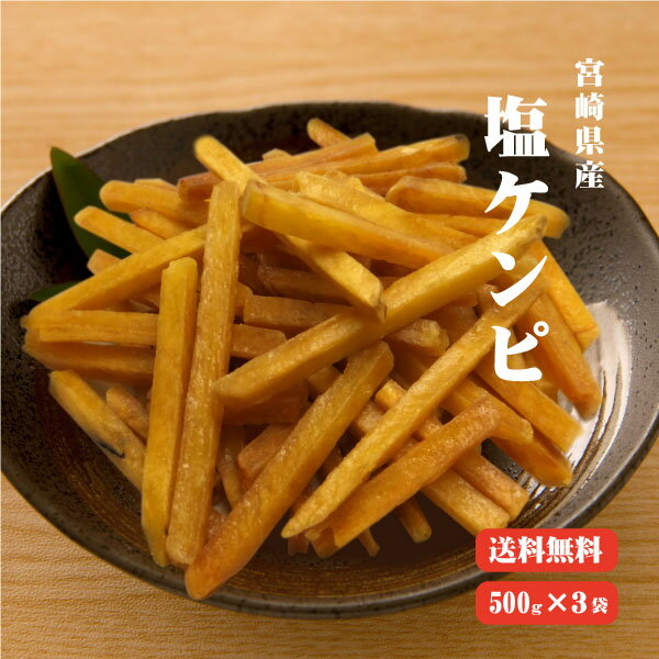 メガ盛り塩けんぴ 1.5kg(500g×3袋)【送料無料】|南国製菓|水車亭|けんぴ|芋けんぴ|