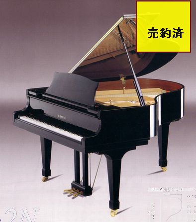 磻KG2