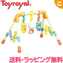 \さらに3倍/【ラッピング無料】 ベビーズFunFunジム ローヤル 知育玩具 プレイジム ベビージム ベビートイ 赤ちゃん おもちゃ 出産祝い ギフト プレゼント【あす楽対応】【こぐま】