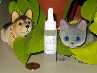 猫や犬、タバコの消臭剤は納豆菌バチルスの力、バイオ原液15cc【梅雨対策】【FS_708-5】【送料無料】イヌ、ネコのオシッコやタバコの専門消臭剤。消臭剤（牛乳瓶サイズ180cc）8本分）つくれます。