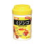 イトスイ コメット ミジンコ 250ml【ラッキーシール対応】
