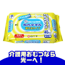 【段ボール1ケースでの発送】サルバおむつとりかえぬれタオル(おしりふき)流せるタ