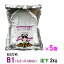 日清丸紅飼料 おとひめB1 沈下 2kg×5袋【送料無料 北海道 沖縄 別途2160円 東北324円】【♭】