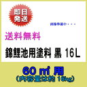 ♭錦鯉池用塗料 黒 16L+うすめ液付送料無料 同梱可あす楽対応【♭】