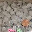ゼンスイ バクテリアホールド Mサイズ(15Φ) 50L【代引不可 同梱不可 送料無料 北海道 沖縄 別途2160円 東北324円】【♭】