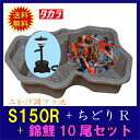 ♭タカラ みかげ調プラ池S150R+ちどりR+錦鯉15cm前後 10尾セット送料無料 代引不可 同梱不可【♭】