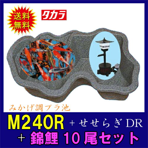 タカラ　みかげ調プラ池M240R+せせらぎDR+錦鯉15cm前後 10尾セット【代引不可　同梱不可　送料無料　沖縄・離島は別途見積】【♭】