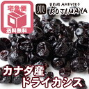 【クーポン利用で更に値引き!】【宅急便送料無料】ドライカシス...