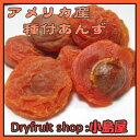 【★30％オフ★　カルフォルニア産　種ありアプリコット(あんず）《250g》 甘みが濃くてお買得♪ 専門店の新鮮な品をお届けします砂糖不使用 ドライフルーツ・Dry Fruits・アンズ・ドライアプリコット】【砂糖不使用 あんず アンズ ドライフルーツ アプリコット ドライアプリコット 果物♪♪ 専門卸問屋の卸特価でご提供】