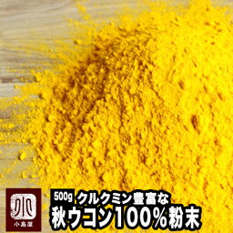 無添加　<strong>秋ウコン</strong>粉末（粉末状） 《500g》本場インド産のクルクミン豊富な極上秋うこんを使用