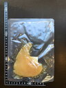 【訳あり】吉切鮫ふかひれ姿煮(尾びれ76g~) | 古樹軒 ふかひれ フカヒレ 中華料理 姿 姿煮 高級食材 ヨシキリ 吉切鮫 尾びれ 金糸 気仙沼 国産 お取り寄せ グルメ お試し 簡単 美味しい おいしい