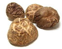 どんこ椎茸【ちまきレシピ付き】