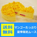 【6/26販売スタート】【送料無料】マンゴーたっぷり期間限定ムース【直径15cm・高さ4cm】誕生日 ギフト【お礼 お返し】【誕生日祝い】【あす楽_土曜営業】【あす楽_日曜営業】パーティ お土産 結婚記念日 お祝い おもてなし お礼 お返し お中元