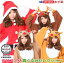 着ぐるみ 大人用 フリース クリスマス セレクション選択 : サンタ トナカイBR トナカイBE トナカイGOサンタクロース/服/かわいい/サンタさん/仮装/衣装/変装/サンタコスチューム/販売/グッズ/おすすめ/コスチューム/コスプレ/レディース/女性用/あす楽対応 4,208円