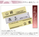 表札 【DM便 送料無料】 アクリル 表札 サイズ指定可能 縦2cm?15cm/横2cm?25cm サイズをご自由に! ラインデザイン マンション表札 ポスト表札 戸建 プレート ネームプレート 手作りキット 戸建