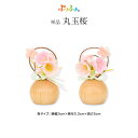 ぷりふあシリーズ 桜橘(さくらたちばな) 丸玉桜 道具のみ単品販売 特選