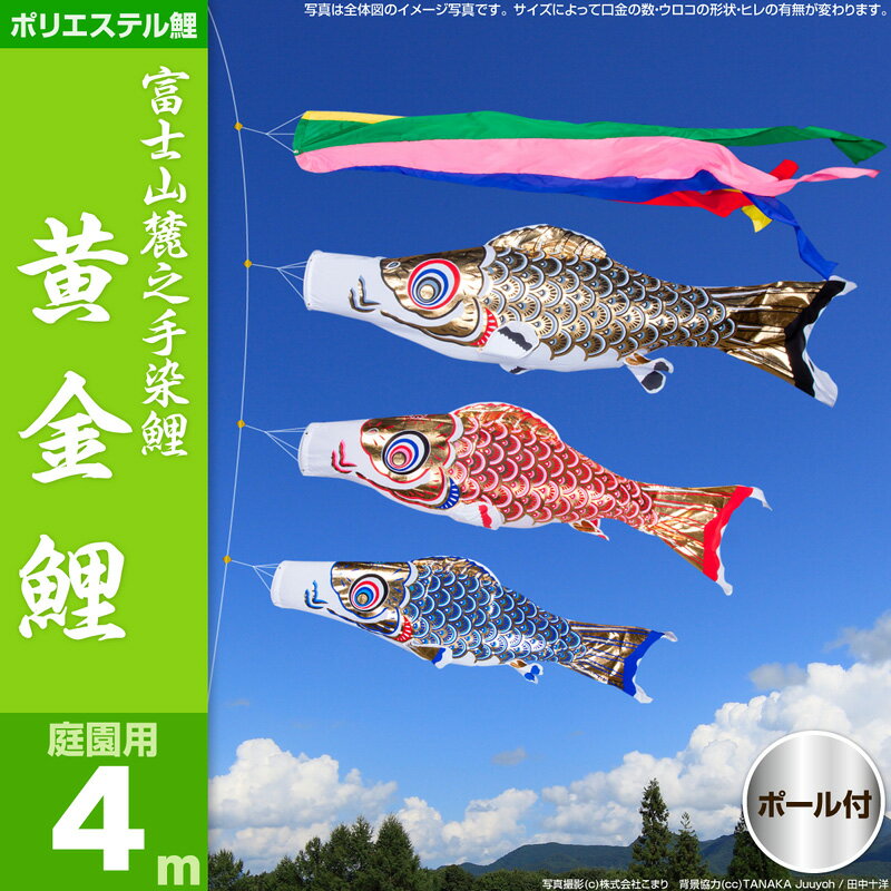 鯉のぼり 庭園用 こいのぼり 【送料無料】「黄金鯉 4m3色/庭園ガーデン杭打ちセット」 …...:komari:10000249