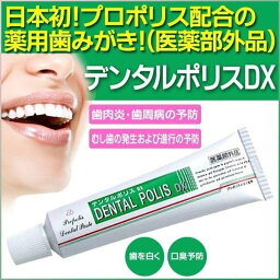 デンタルポリスDX <strong>80g</strong> 【 安心の追跡番号付き 】k 歯磨き粉　医薬部外品