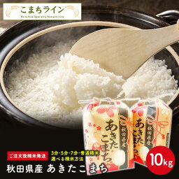 【白米10kg】令和5年産　秋田県産　あきたこまち10kg <strong>5kg</strong>×2袋　　厳選　送料無料　10kg　<strong>米びつ</strong>当番【天鷹唐辛子】プレゼント付き