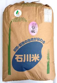 「勧進帳のふるさと」石川県小松産。特別栽培米コシヒカリ1等米30kg玄米「蛍米」