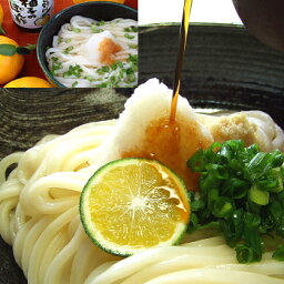 送料無料 <strong>うどん</strong> 大根おろし 醤油＆ゆずぽん <strong>うどん</strong>セット 讃岐<strong>うどん</strong> 【楽ギフ_包装】【RCP】お中元 お歳暮 母の日 父の日 冠婚葬祭等におすすめ！